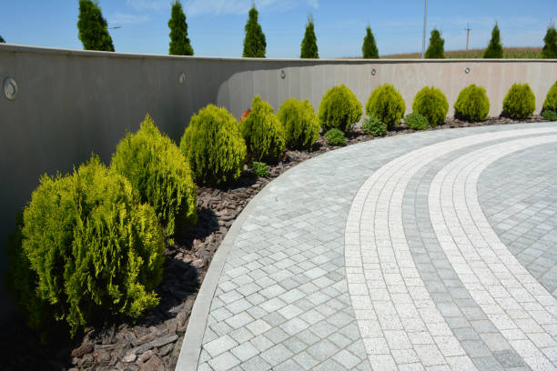 Best Paver Driveway Replacement  in Ferndale, CA